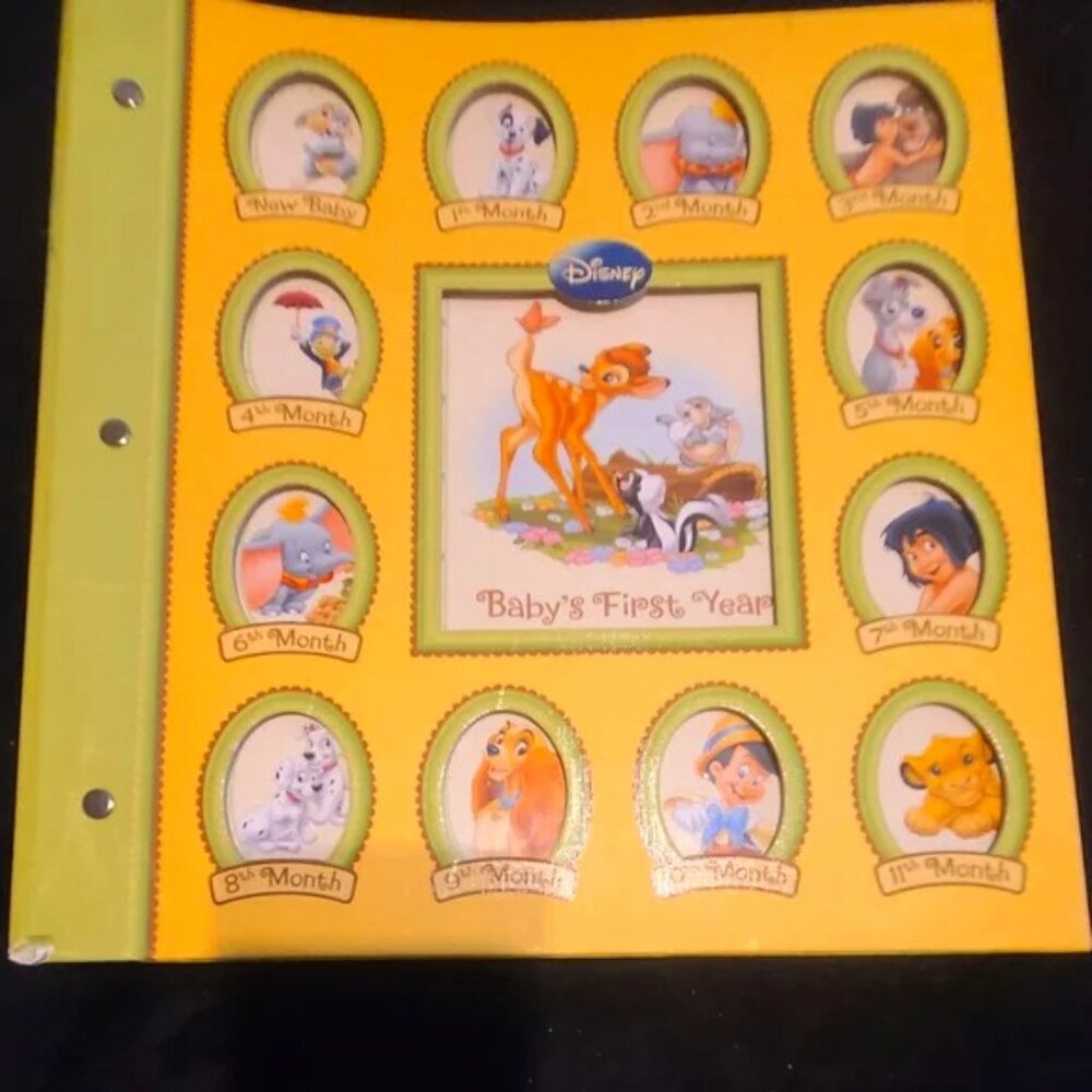 Baby's First Year Baby book